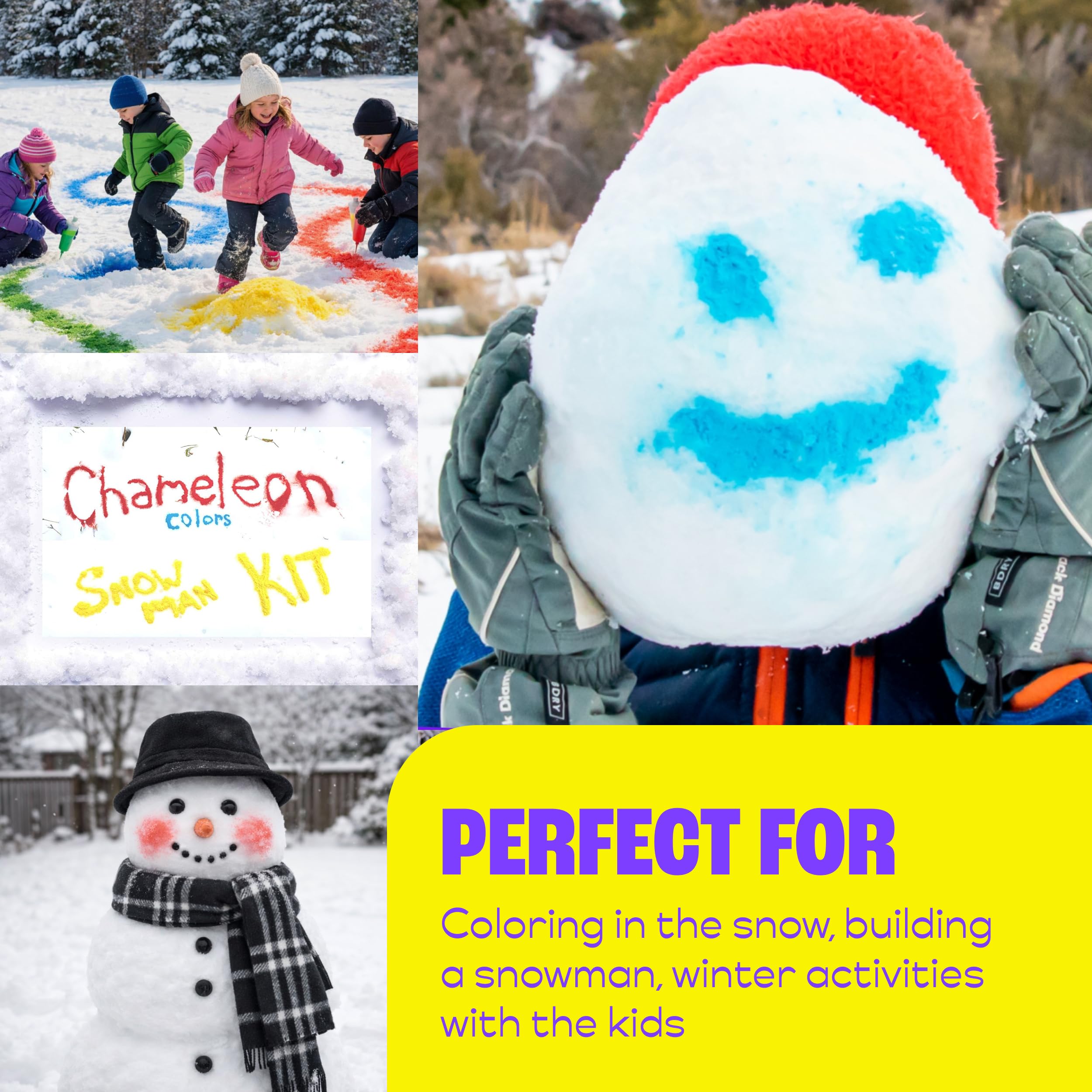 Amazon.com: Chameleon Colors Snowman Kit & Snow Painting Bottles